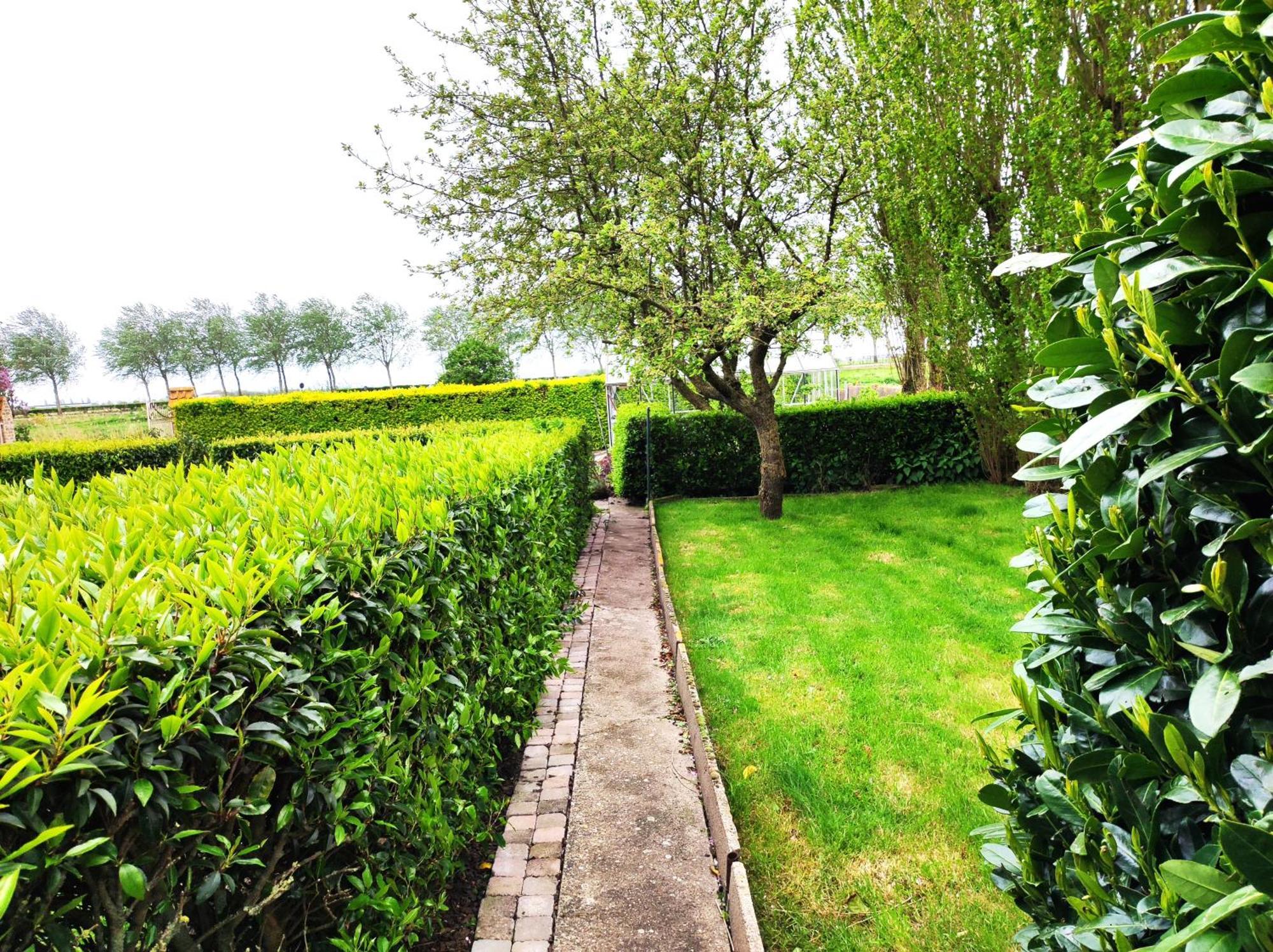 B&B Het Polderhof Яббеке Экстерьер фото